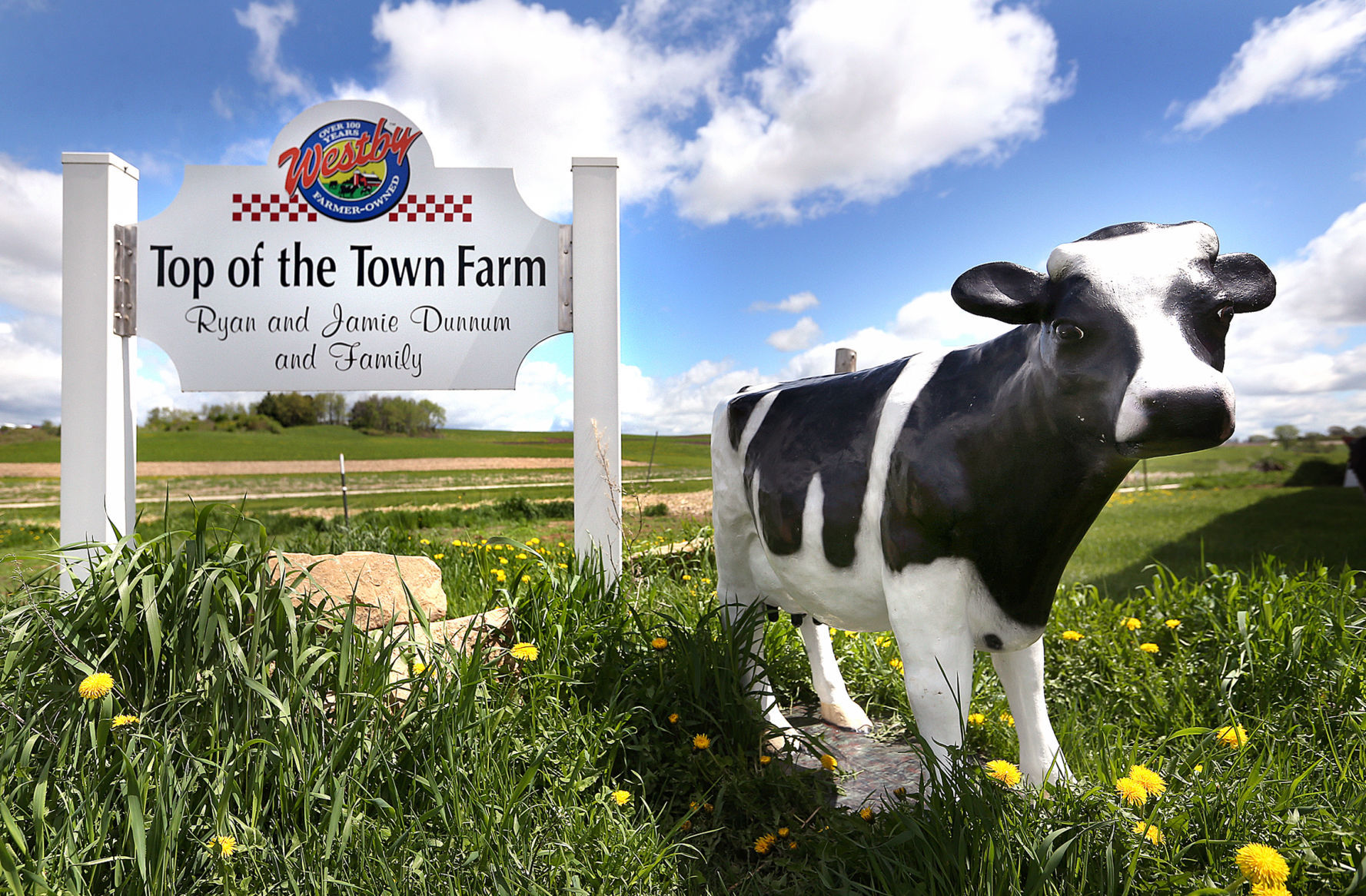 Dairy Crisis